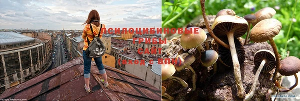 синтетический гашиш Магадан
