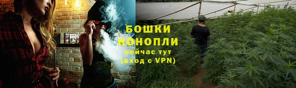 дживик Майский